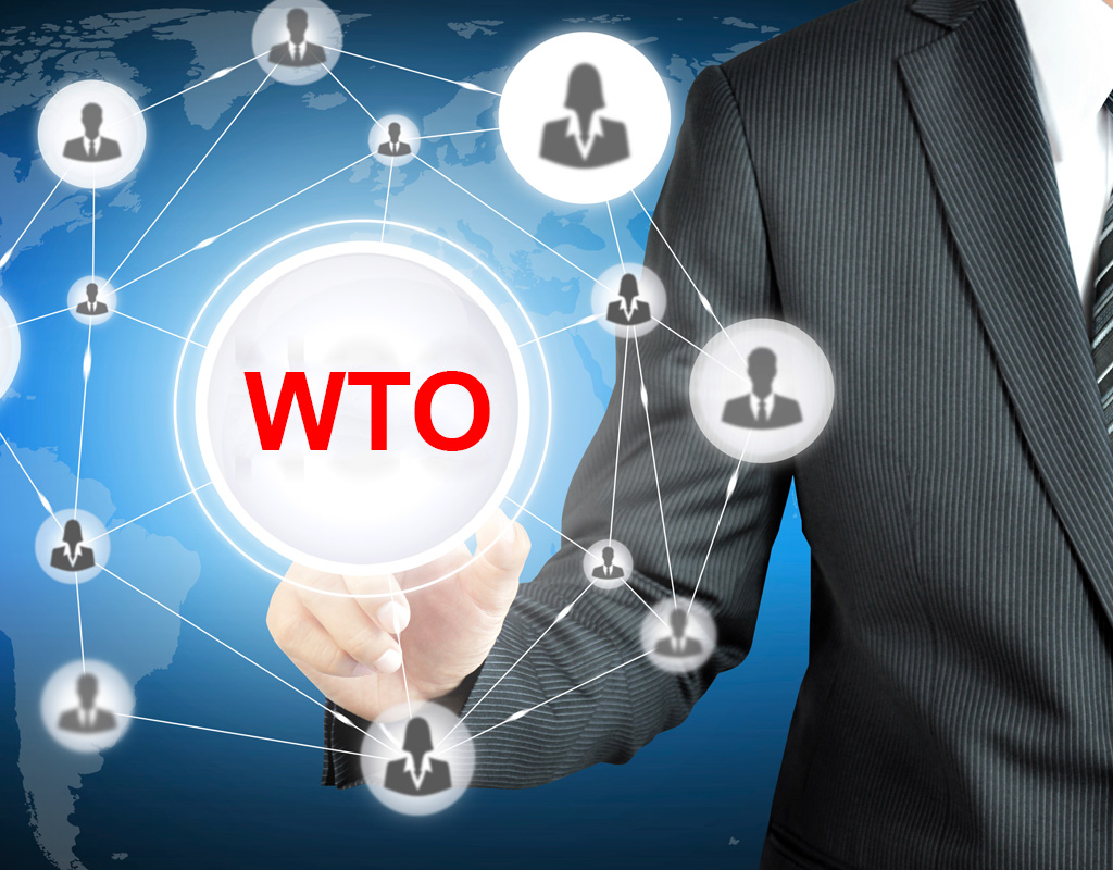 La globalizzazione degli scambi commerciali: il ruolo della “World Trade Organization”