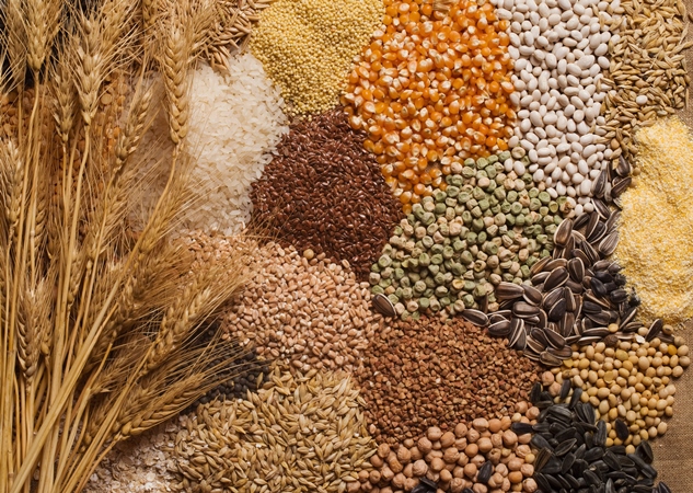 Prezzi alimentari: prime proiezioni globali della FAO per il 2017