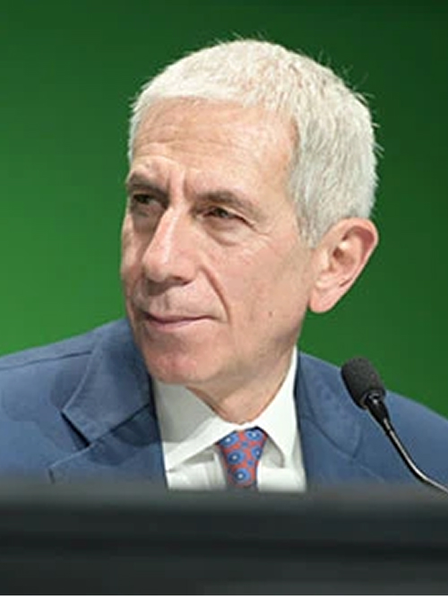 Maurizio Longhi, Presidente